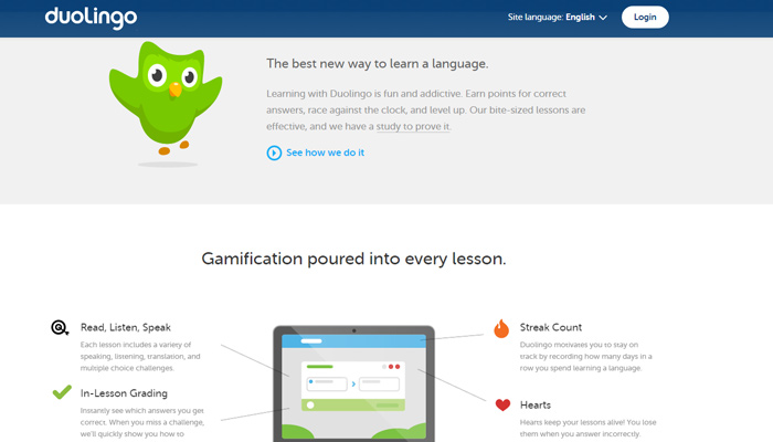 duolingo website design blue icons