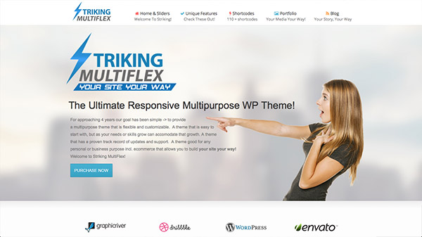 Striking Multiflex & Ecommerce Responsive WP Theme