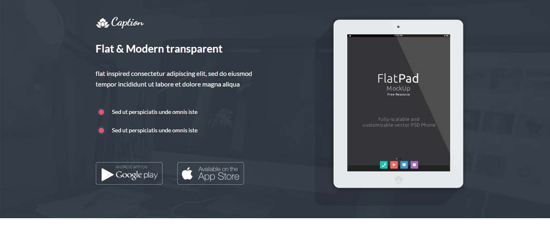 Caption Flat Startup Landing Page