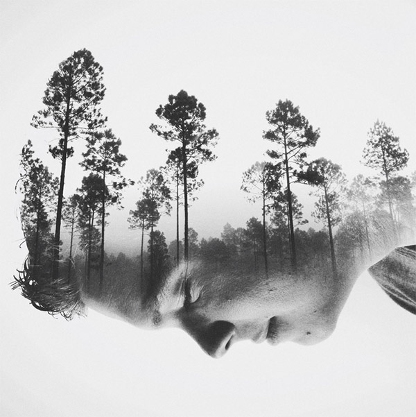 Seeds of the Future by Brandon Kidwell