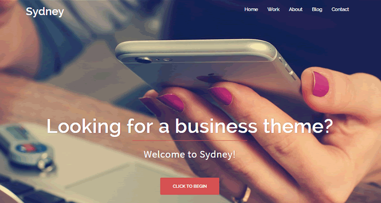 Sydney powerful business theme companies freelancers