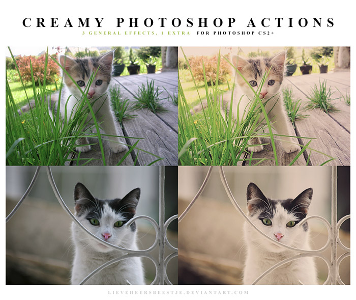 Creamy Photoshop Actions