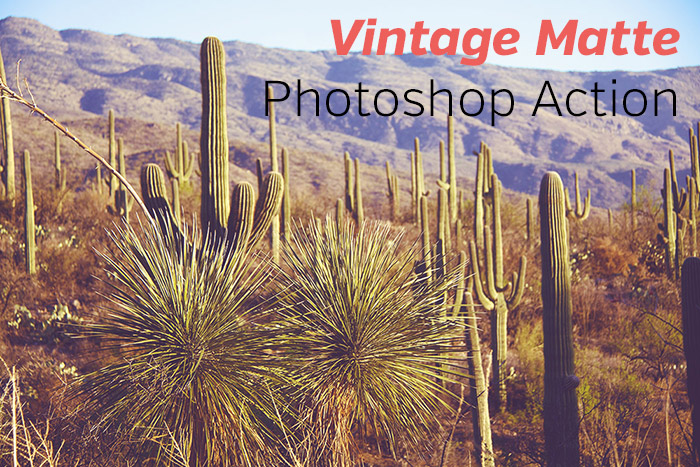 Vintage Matte Photoshop Action