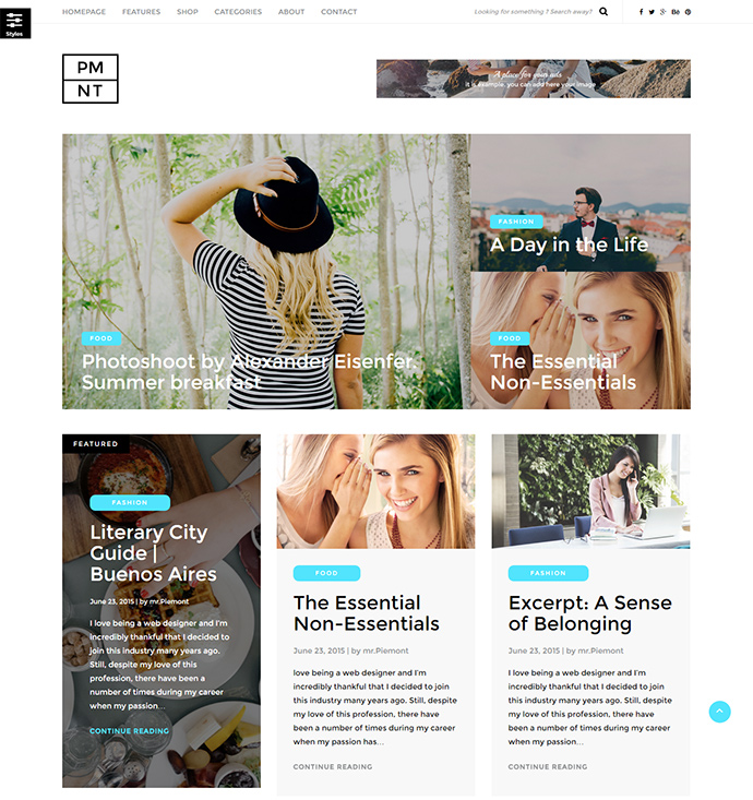 25 Beautiful Card-Based WordPress Themes - iDevie