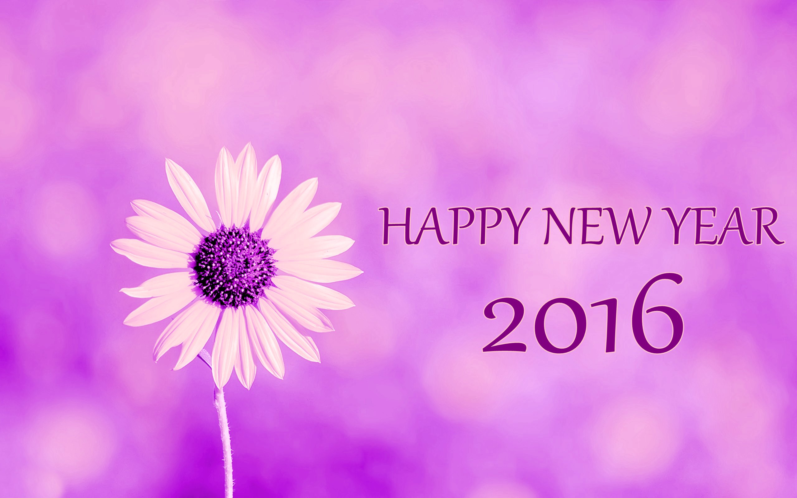 45 Beautiful Happy New Year Wallpapers Hd Idevie 2704