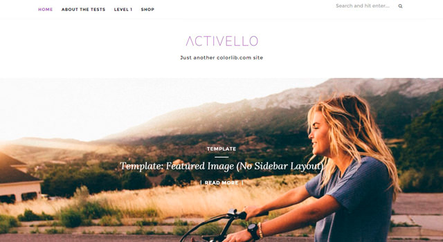 Activello: Simple Multipurpose Blogging WordPress Theme