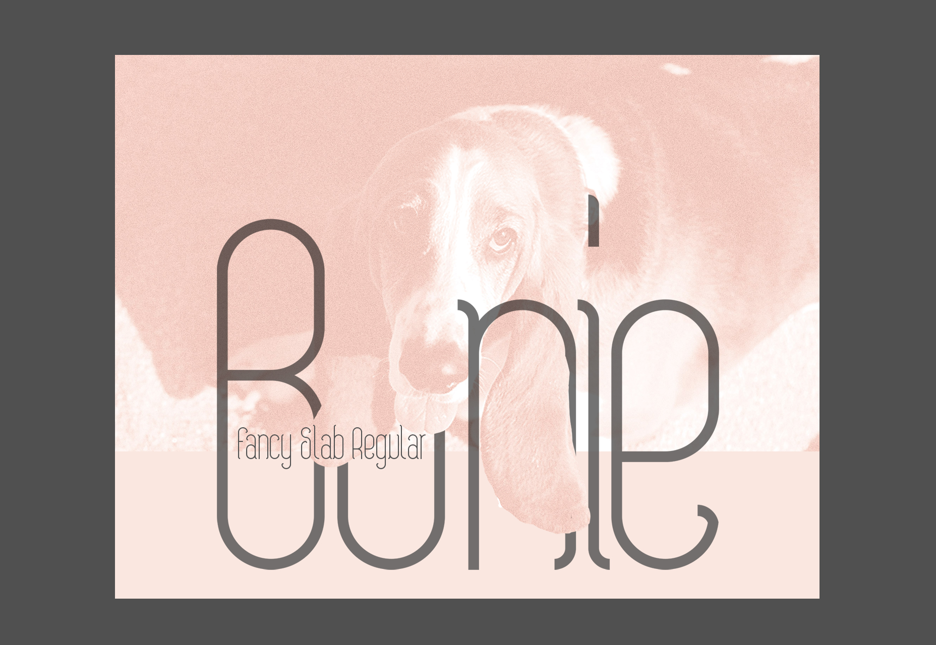 Bonie: Fancy Slab Regular Typeface