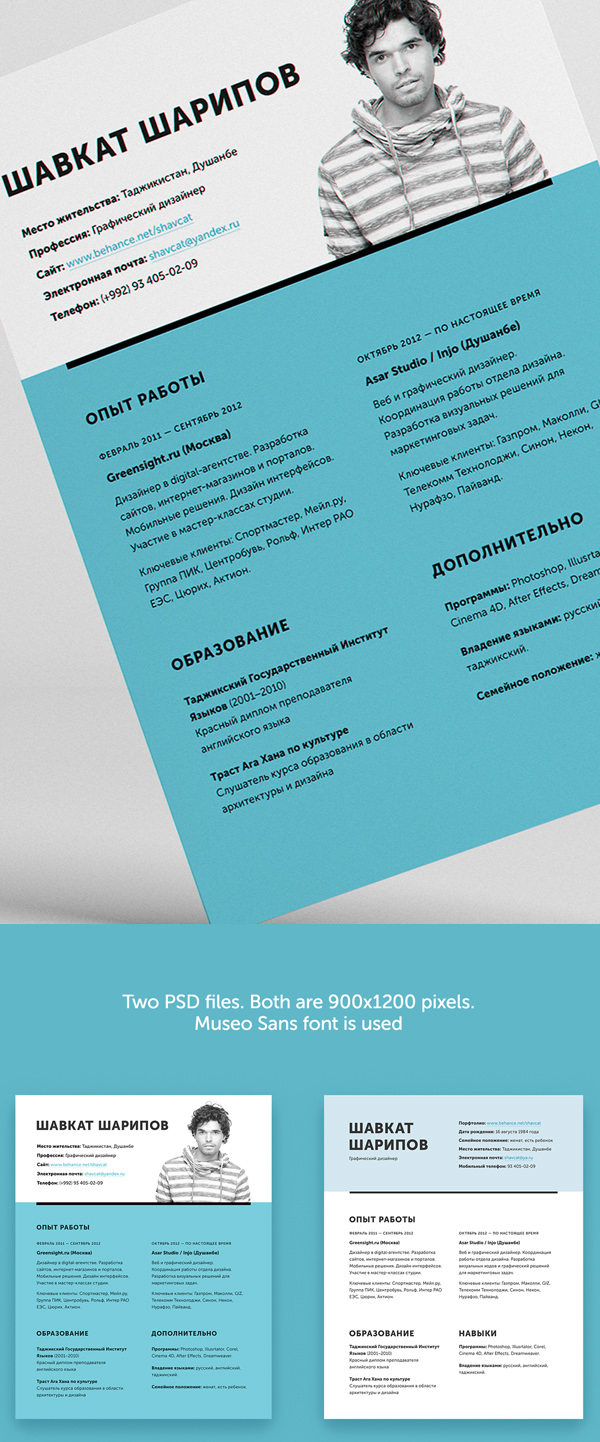 Free One Page PSD Resume (CV) Template