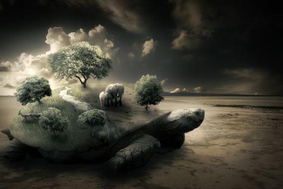 Create a Surreal Turtle Image