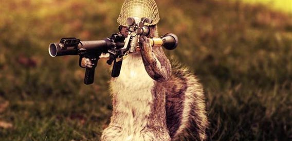 Army Squirrel Photo Manipulation