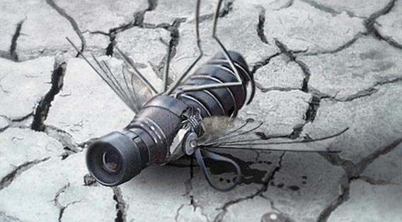 Creating a Spy Fly Photo Manipulation