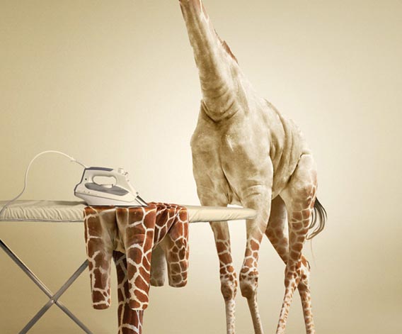 Undress a Giraffe in Photoshop