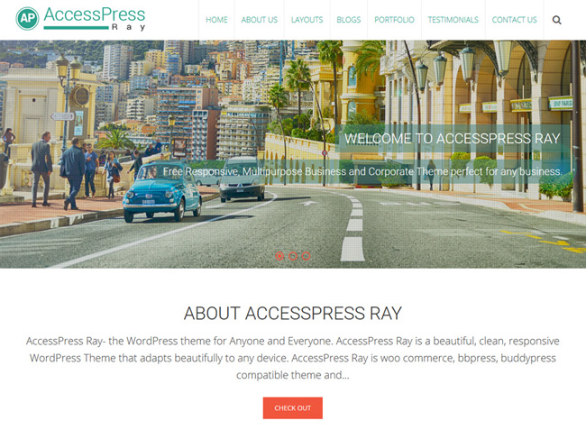AccessPress-Ray