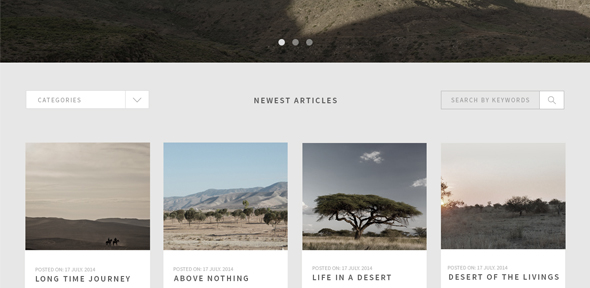 Traveler-Responsive-Blog-Theme