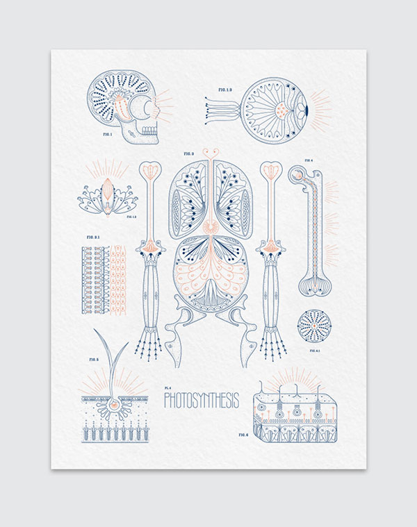 Essie Letterpress 2015 Almanac