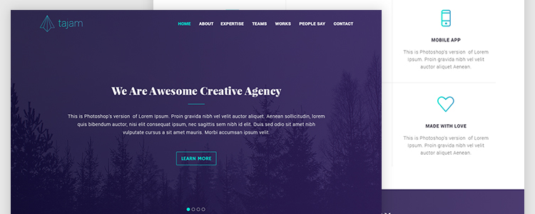 Agency Web Template PSD