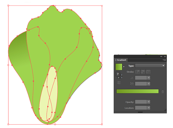 Start rendering the romaine lettuce head