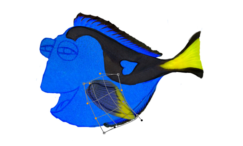 Add More Fins Using Different Stocks