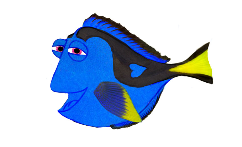 Dory with Photo Textures