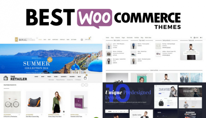 best wordpress theme 2017