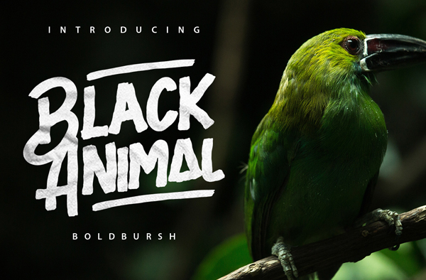 Black Animal Free Font