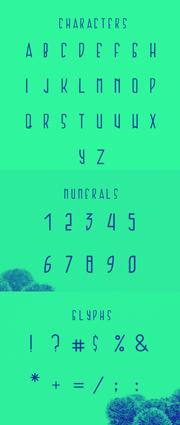 Cactus Free Font Letters