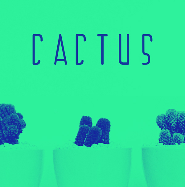 Cactus Free Font
