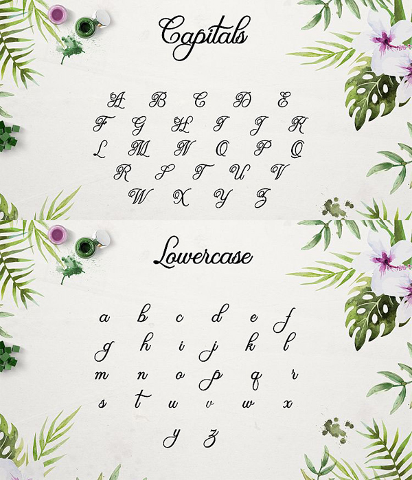 Olivia Script Free Font Letters