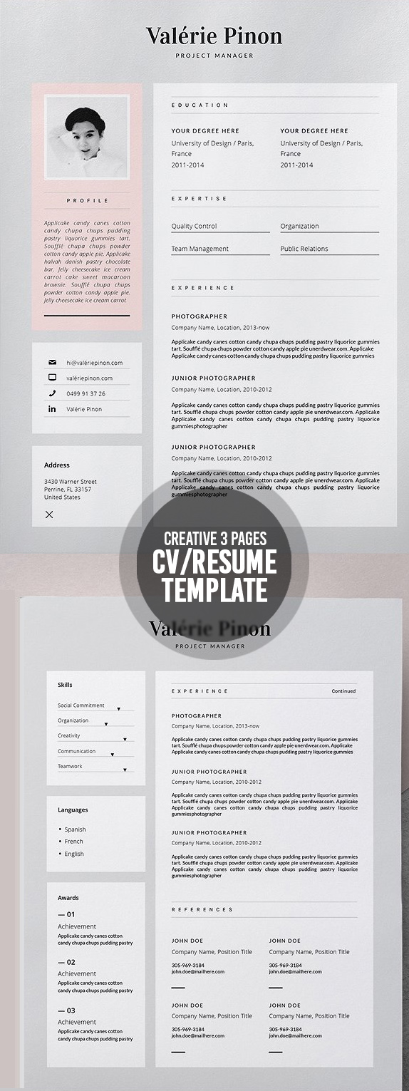 Resume Template 3 page