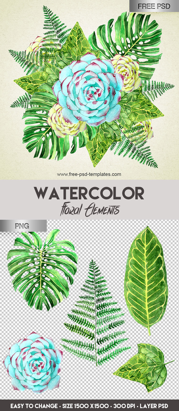 Free Watercolor Floral Elements PSD