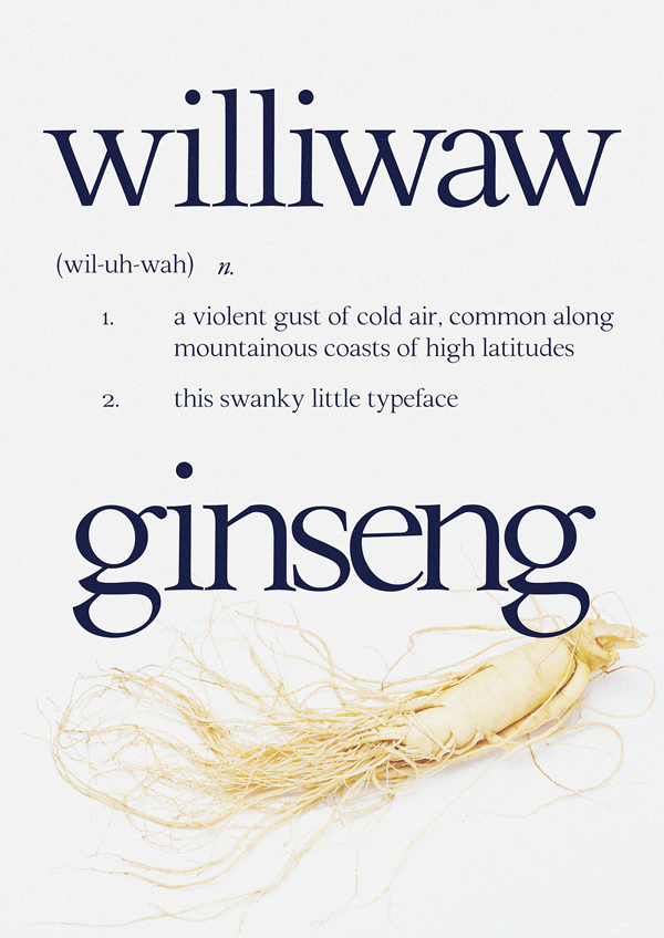 Williwaw Book Free Font