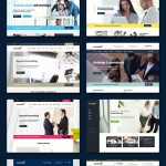 Consulting WordPress Theme Review