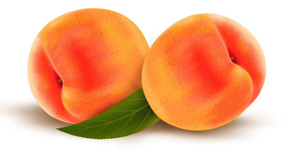 How to Draw Vector Peaches Using Gradient Mesh in Adobe Illustrator