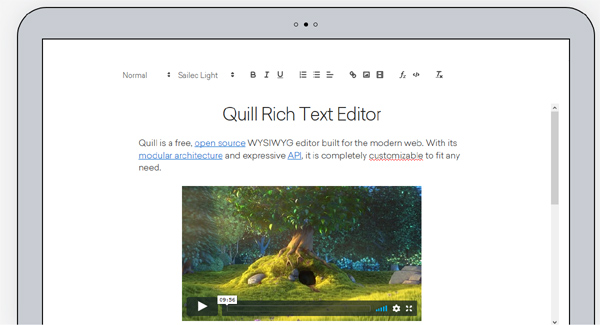 quill text editor