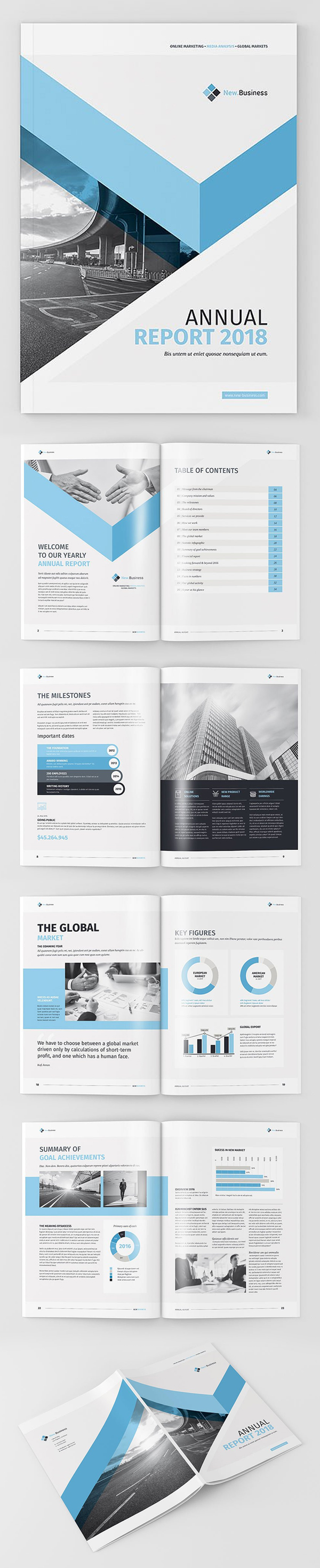 Professional Annual Report 2018 Template
