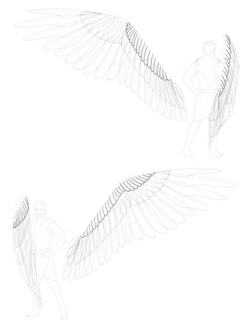 How to Draw Angel Wings - iDevie