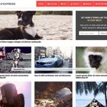 25 Top-Notch AdSense-Optimized Themes For Higher Ad Earnings
