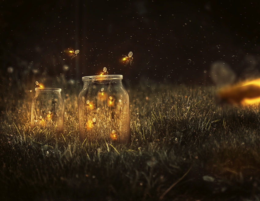 How to Create a Glowing, Fireflies Photo Manipulation in Adobe ...