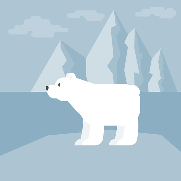 How to Create a Polar Bear Illustration in Adobe Illustrator