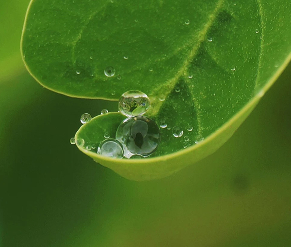 Beautiful Examples Of Water Drop Photography - 12