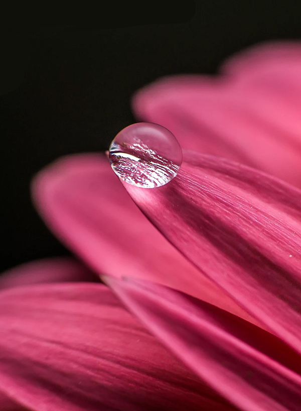Beautiful Examples Of Water Drop Photography - 22
