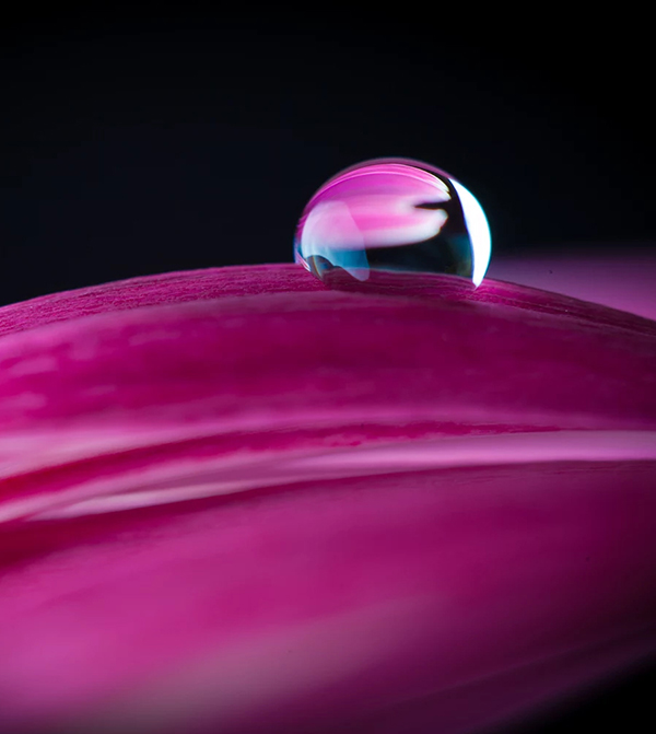 Beautiful Examples Of Water Drop Photography - 24