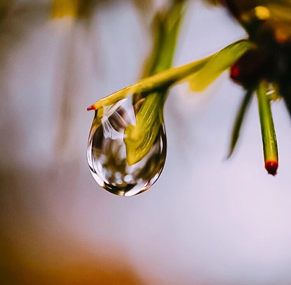 Beautiful Examples Of Water Drop Photography - 27