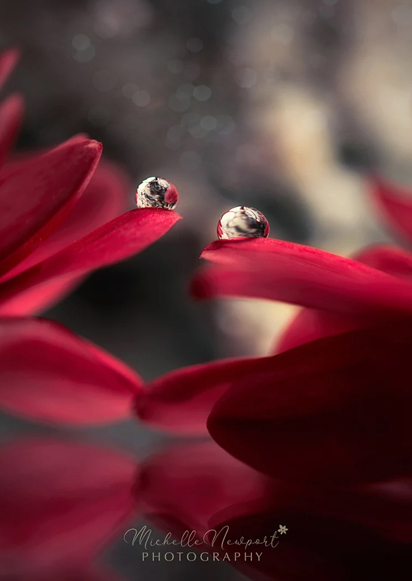 Beautiful Examples Of Water Drop Photography - 32