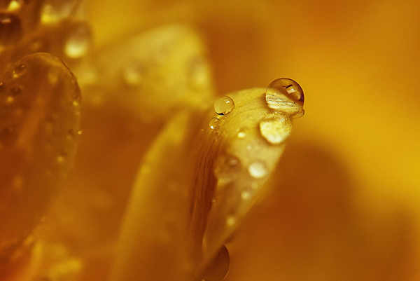 Beautiful Examples Of Water Drop Photography - 4