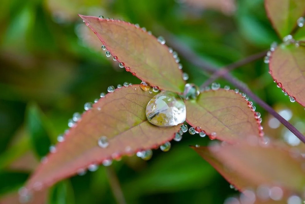 Beautiful Examples Of Water Drop Photography - 9