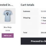 20 Best Shipping & Pricing WooCommerce Plugins