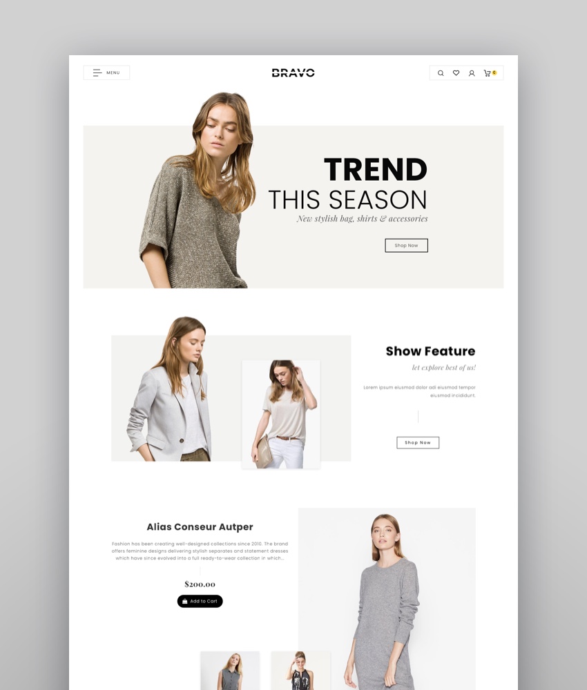 17 Best Shopify Templates for Your Online Store iDevie