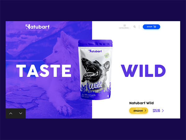 50 Modern Web UI Design Concepts with Amazing UX - 48