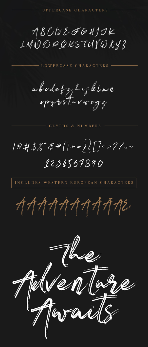 Ashfort Brush Script Free Font Letters